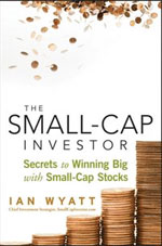 The Small-Cap Investor